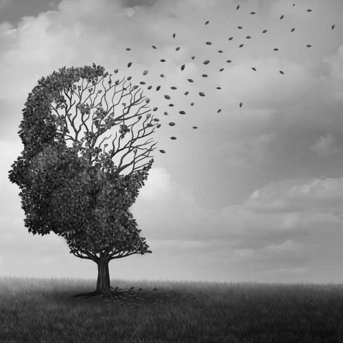 The Last Ones - Who Owns Memory?